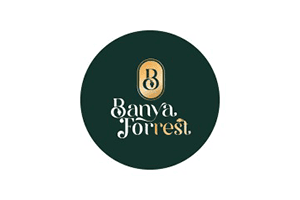 logo-1